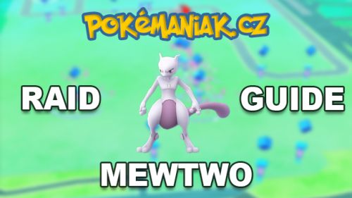 Mewtwo Raid Guide