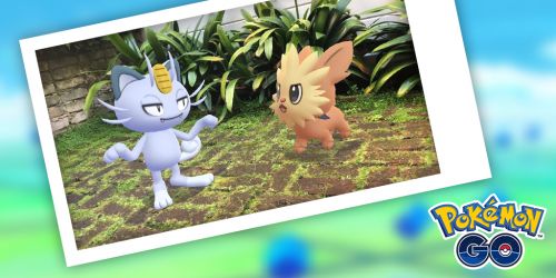 Pokémon GO - Šance získat Illumise během Buddy Up eventu!